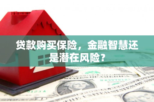 焦作贷款购买保险，金融智慧还是潜在风险？