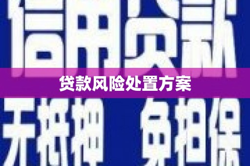 焦作贷款风险处置方案