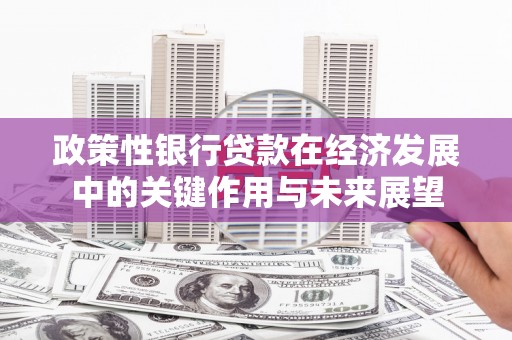 焦作政策性银行贷款在经济发展中的关键作用与未来展望