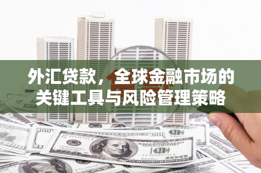 焦作外汇贷款，全球金融市场的关键工具与风险管理策略
