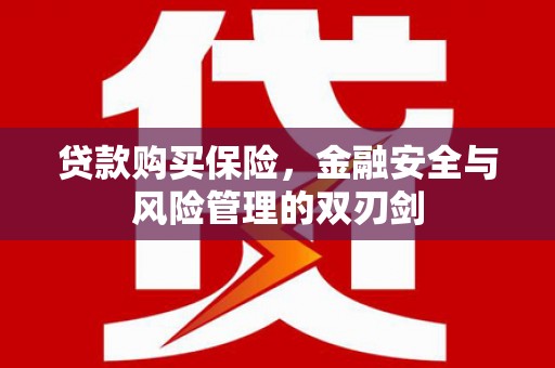 焦作贷款购买保险，金融安全与风险管理的双刃剑