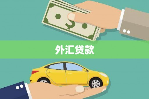 焦作外汇贷款