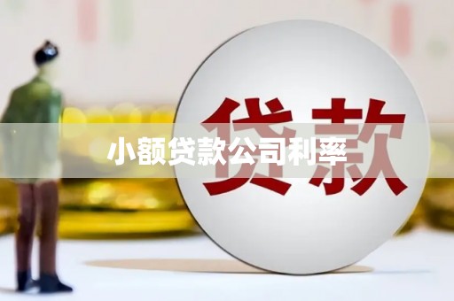 焦作小额贷款公司利率