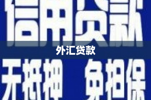 焦作外汇贷款