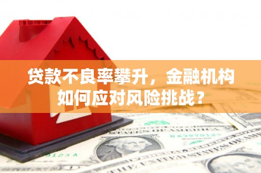 焦作贷款不良率攀升，金融机构如何应对风险挑战？