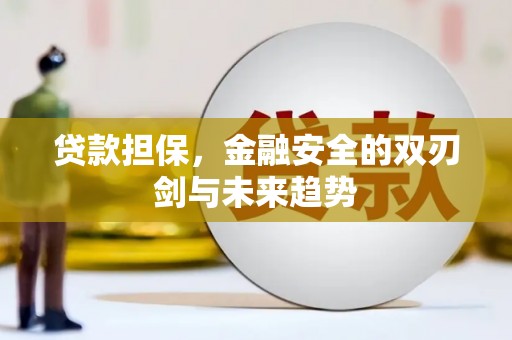 焦作贷款担保，金融安全的双刃剑与未来趋势