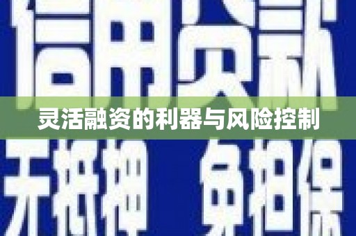焦作灵活融资的利器与风险控制