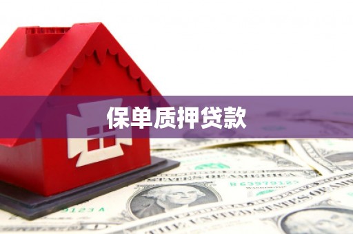 焦作保单质押贷款