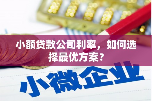 焦作小额贷款公司利率，如何选择最优方案？