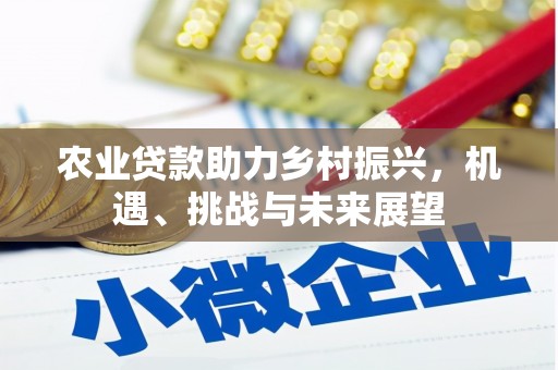 焦作农业贷款助力乡村振兴，机遇、挑战与未来展望
