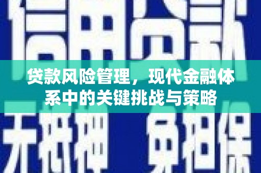 焦作贷款风险管理，现代金融体系中的关键挑战与策略