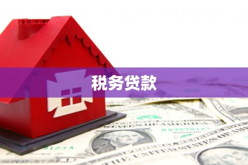 焦作税务贷款