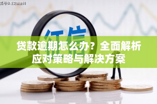 焦作贷款逾期怎么办？全面解析应对策略与解决方案