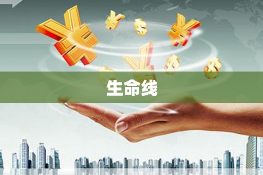 焦作生命线