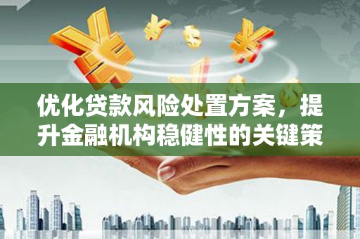 焦作优化贷款风险处置方案，提升金融机构稳健性的关键策略