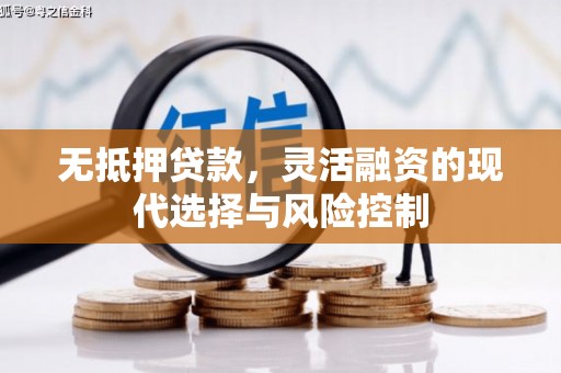 焦作无抵押贷款，灵活融资的现代选择与风险控制