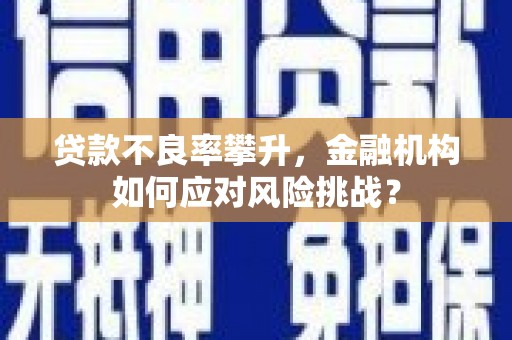 焦作贷款不良率攀升，金融机构如何应对风险挑战？