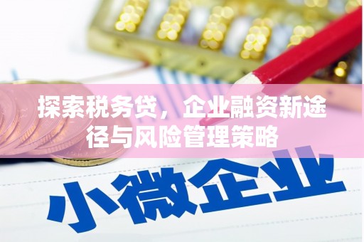 焦作探索税务贷，企业融资新途径与风险管理策略