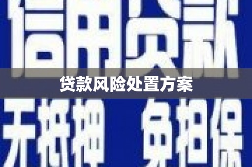 焦作贷款风险处置方案
