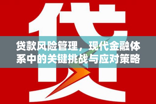 焦作贷款风险管理，现代金融体系中的关键挑战与应对策略