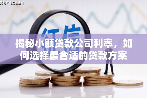 焦作揭秘小额贷款公司利率，如何选择最合适的贷款方案