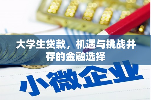 焦作大学生贷款，机遇与挑战并存的金融选择