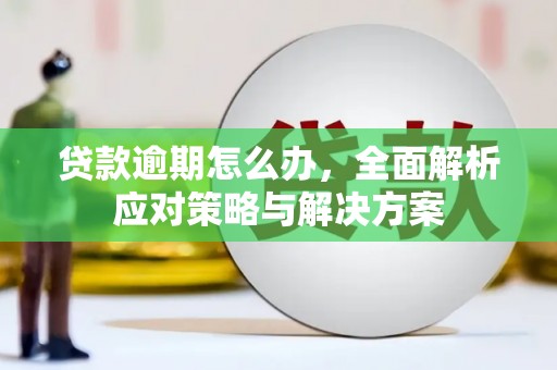 焦作贷款逾期怎么办，全面解析应对策略与解决方案