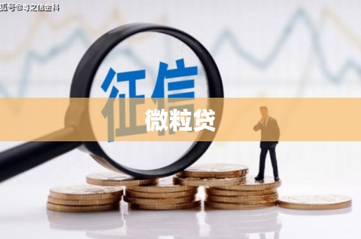 焦作微粒贷