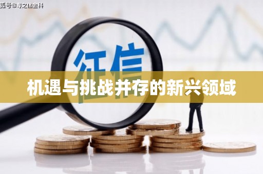 焦作机遇与挑战并存的新兴领域